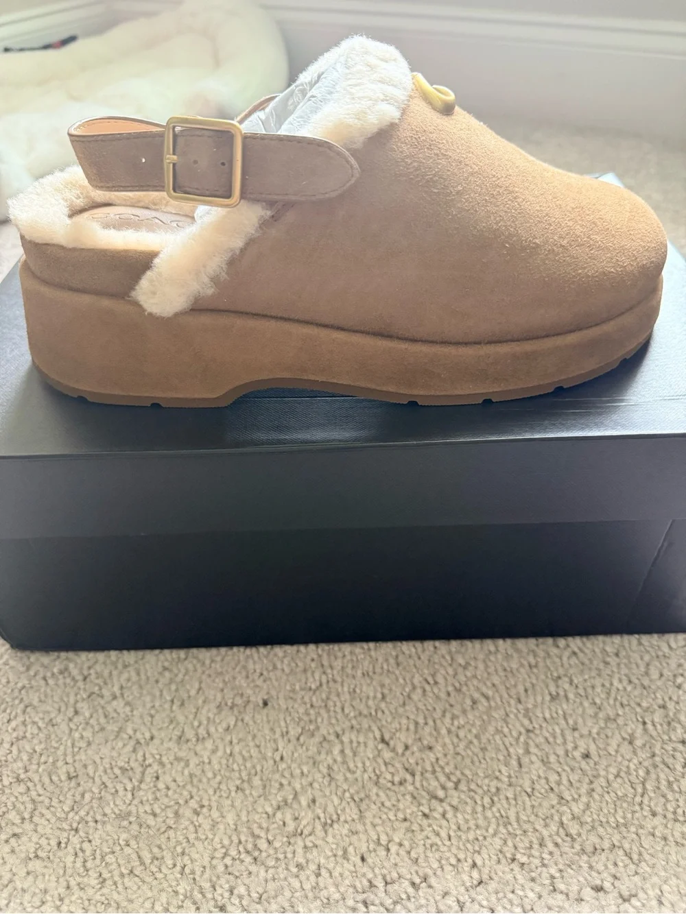 Coach Women's Sculpted C Platform Clogs in Shearling and Suede